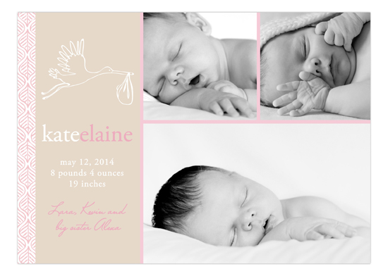 Simple Stork Girl Photo Card Birth Announcements